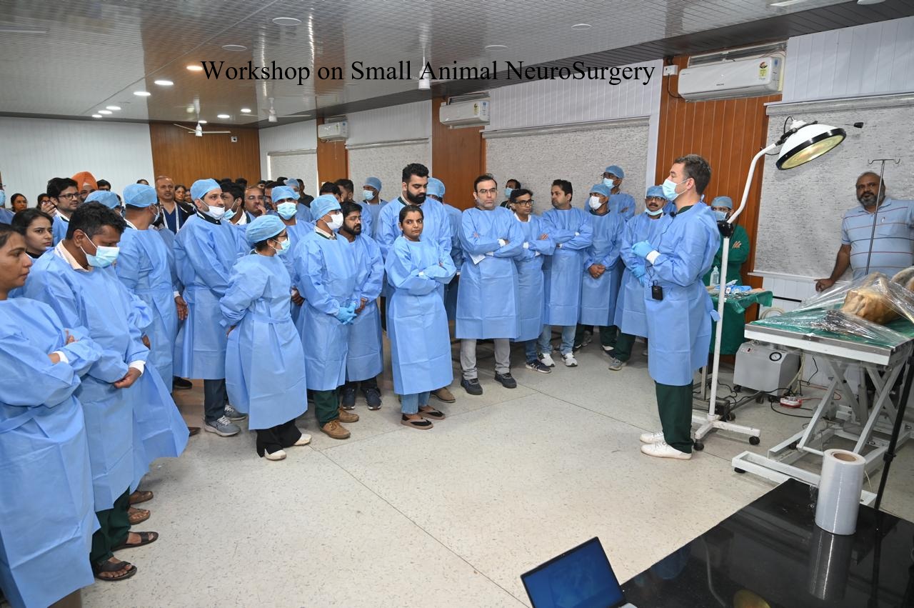 Small Animal Neurosurgery workshop